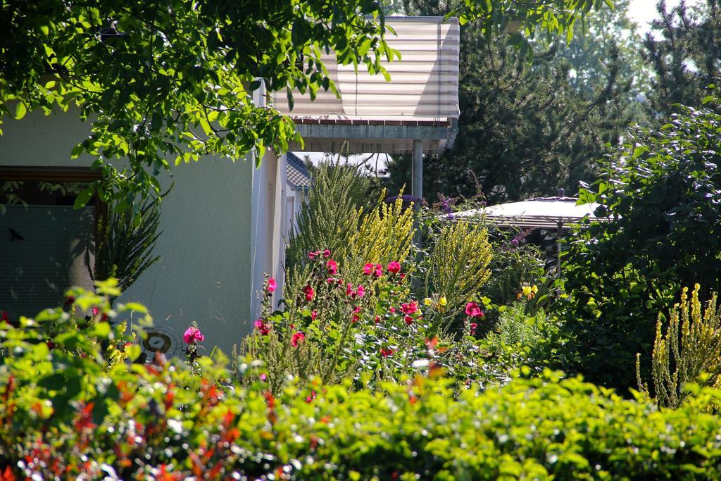 Ferienwohnung Bluetenweg Kluftern Φριντρισχάφεν Εξωτερικό φωτογραφία